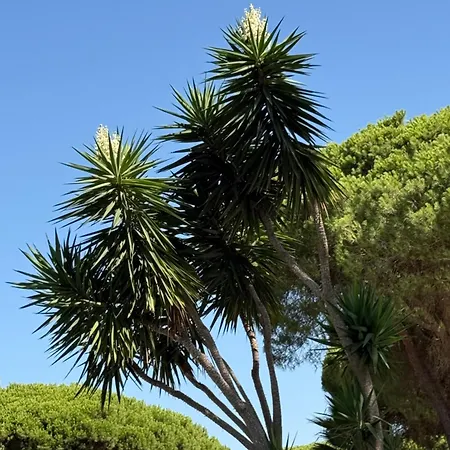 Nyaraló La Fundacion De La Luz - 2 Casas Piscina & Barbacoa Privada, Playa A 9 Min, Familiar En Zona Tranquila, No Se Permiten Fiestas Conil de la Frontera