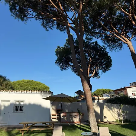 Semesterbostad La Fundacion De La Luz - 2 Casas Piscina & Barbacoa Privada, Playa A 9 Min, Familiar En Zona Tranquila, No Se Permiten Fiestas Conil De La Frontera
