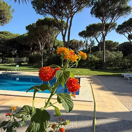 La Fundacion De La Luz - 2 Casas Piscina & Barbacoa Privada, Playa A 9 Min, Familiar En Zona Tranquila, No Se Permiten Fiestas Semesterbostad Conil De La Frontera