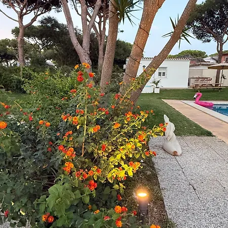 Semesterbostad La Fundacion De La Luz - 2 Casas Piscina & Barbacoa Privada, Playa A 9 Min, Familiar En Zona Tranquila, No Se Permiten Fiestas Conil De La Frontera