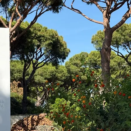 Semesterbostad La Fundacion De La Luz - 2 Casas Piscina & Barbacoa Privada, Playa A 9 Min, Familiar En Zona Tranquila, No Se Permiten Fiestas