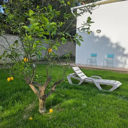 Semesterbostad La Fundacion De La Luz - 2 Casas Piscina & Barbacoa Privada, Playa A 9 Min, Familiar En Zona Tranquila, No Se Permiten Fiestas Conil De La Frontera